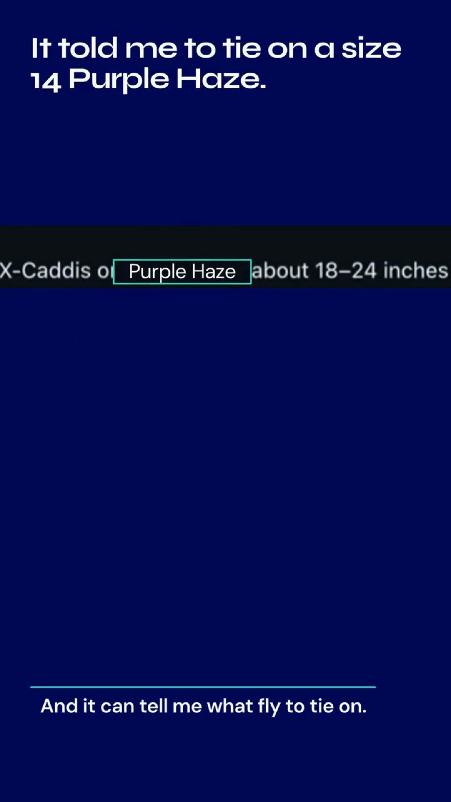 Final video frame with a teal box fitting the complete words Purple Haze.