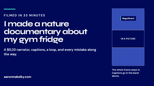 Navy and teal title card reading I made a nature documentary about my gym fridge, with a diagram of a 16:9 frame inside a 9:16 frame